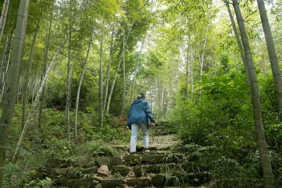 1715246262586255.jpg 23.jpg